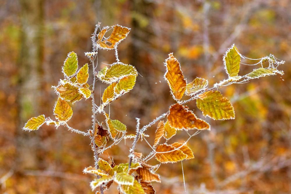 Сегодня в Приморье ожидается до -14°C