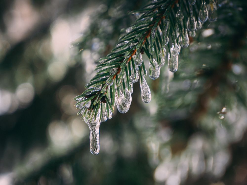 Во вторник местами в крае воздух прогреется до +13°С