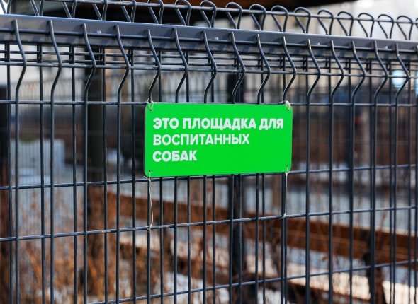 Спрос на pet-friendly места растет: где животным рады во Владивостоке, а где нет