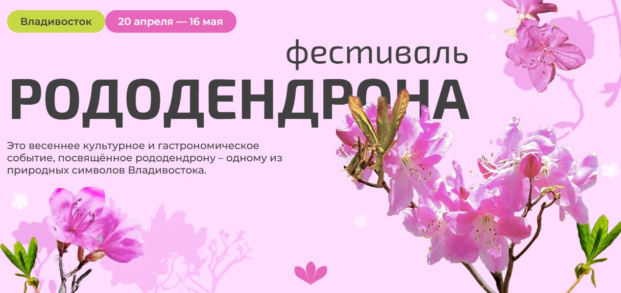 Третий туристско-гастрономический «Фестиваль рододендрона» во Владивостоке 20 апреля – 16 мая