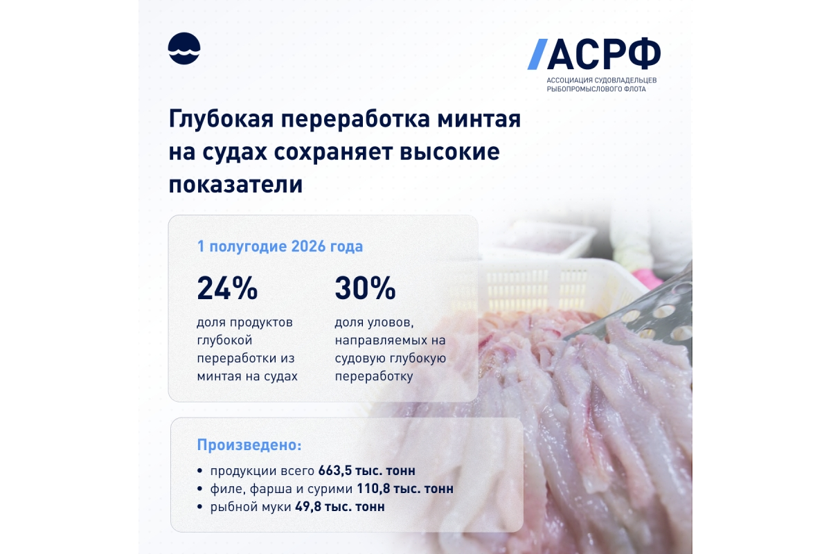 Глубокая переработка минтая на судах сохраняет высокие показатели 