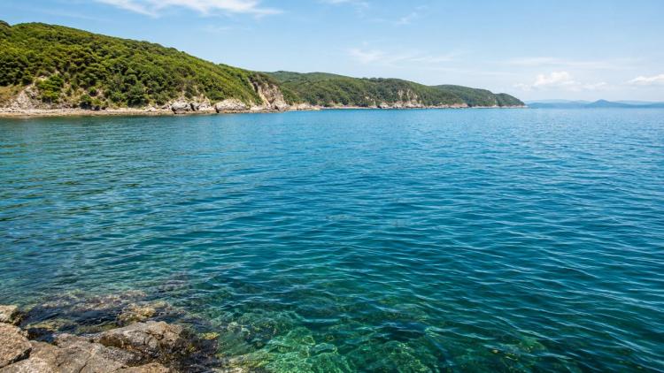 Бухту Соболь сохранят для отдыха горожан