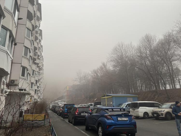 Дождливая погода сохраняется в Приморье