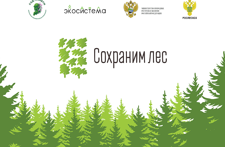Приморцы могут помочь восстановить лес после пожаров