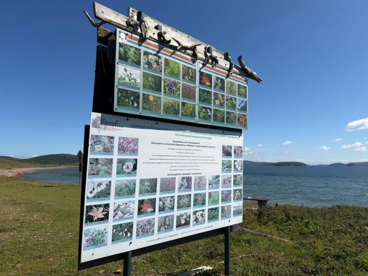 ВТБ помог очистить побережье Дальневосточного морского заповедника