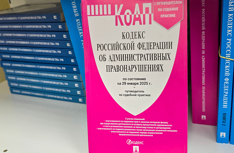 Почти 68 миллионов рублей административных штрафов поступило в бюджет Приморского края в этом году